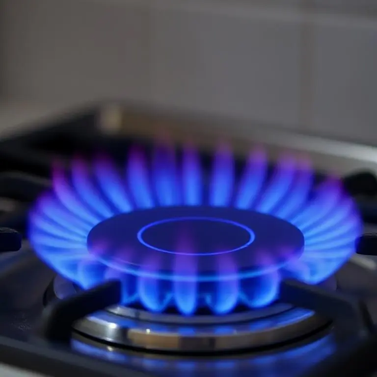 Gas burner flame